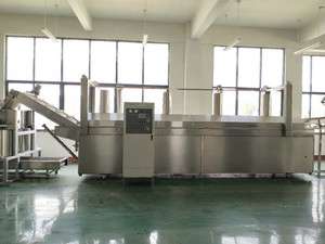 單網(wǎng)帶油炸機